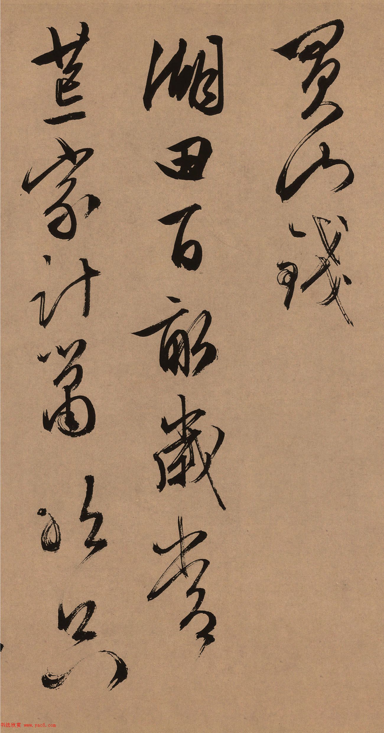 53в顶ںʮ׾