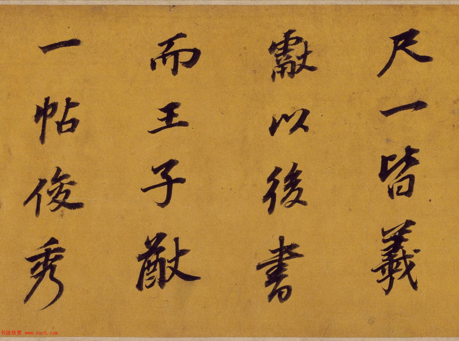 п鷨鲢Ÿʫ