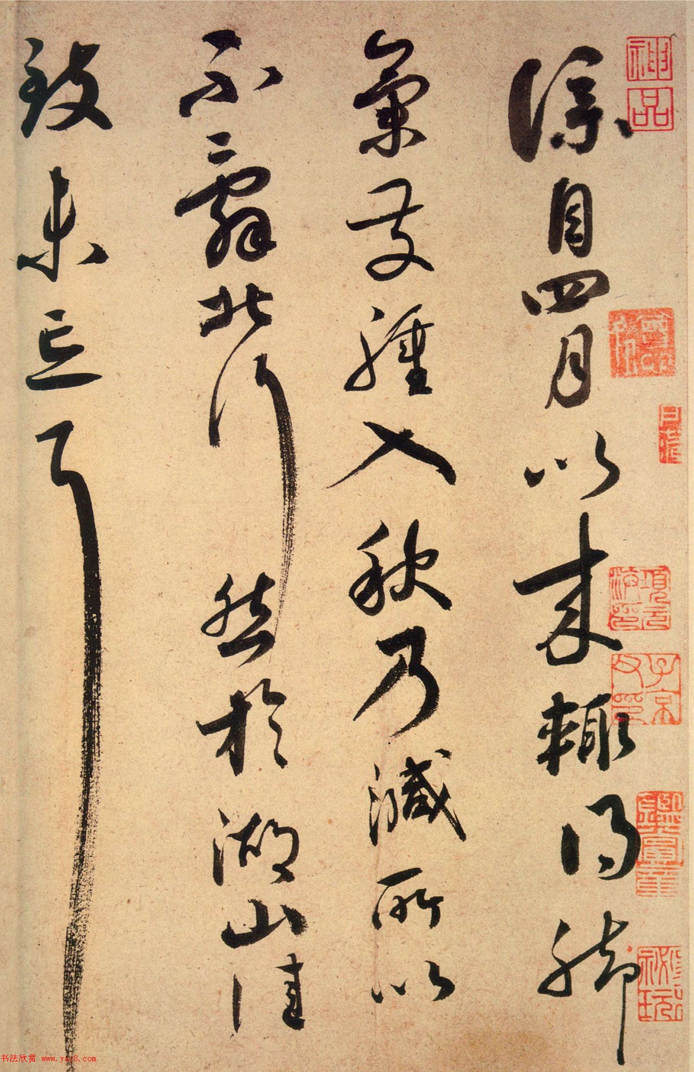 鷨вݳ빡