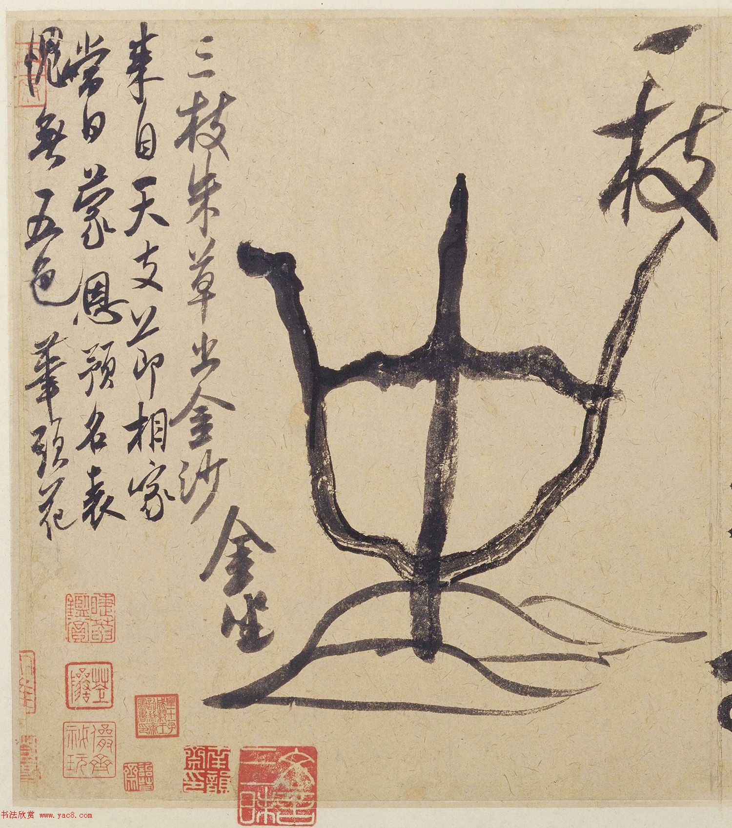 米芾行书墨迹《珊瑚帖》欣赏