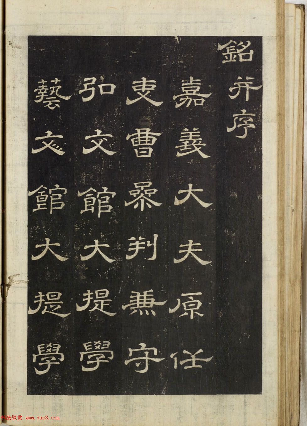ʽ顶ȨĹ