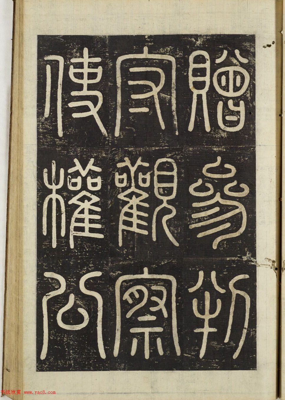 ʽ顶ȨĹ