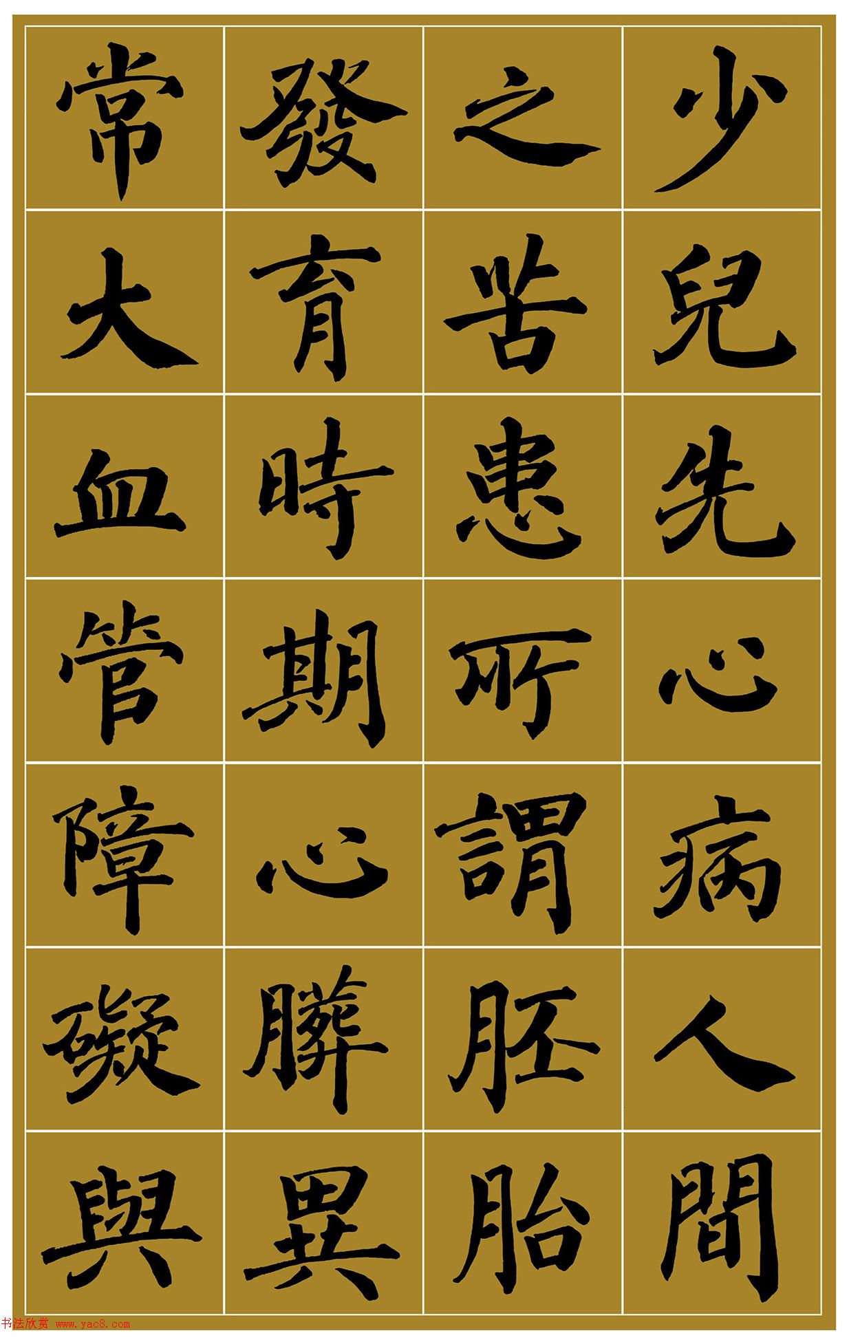 范笑歌楷书《中国少儿先心病基金宣讲辞》