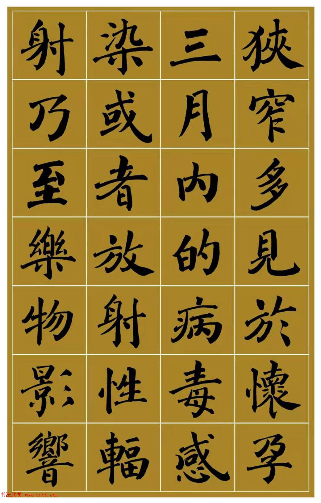 范笑歌楷书《中国少儿先心病基金宣讲辞》