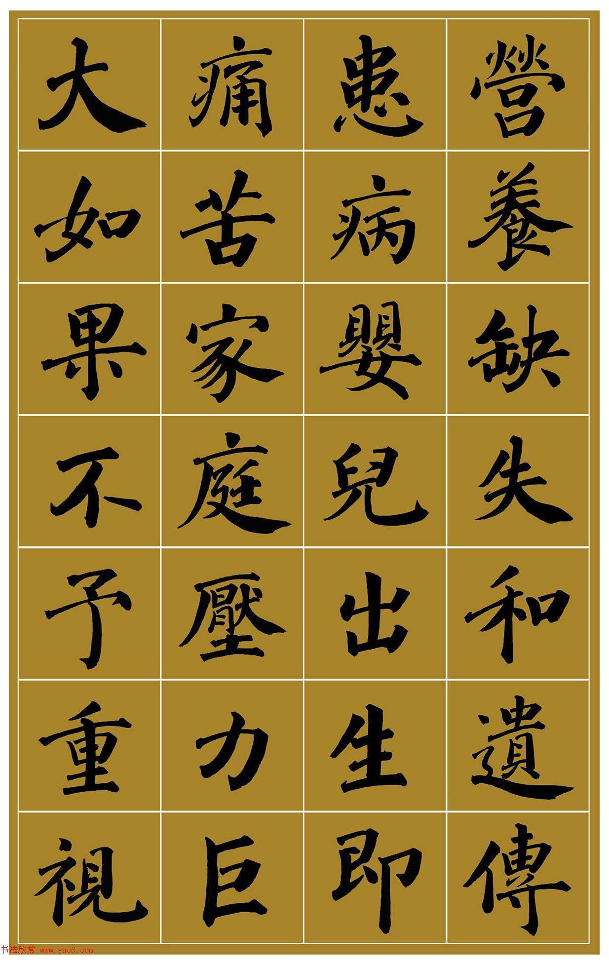 范笑歌楷书《中国少儿先心病基金宣讲辞》