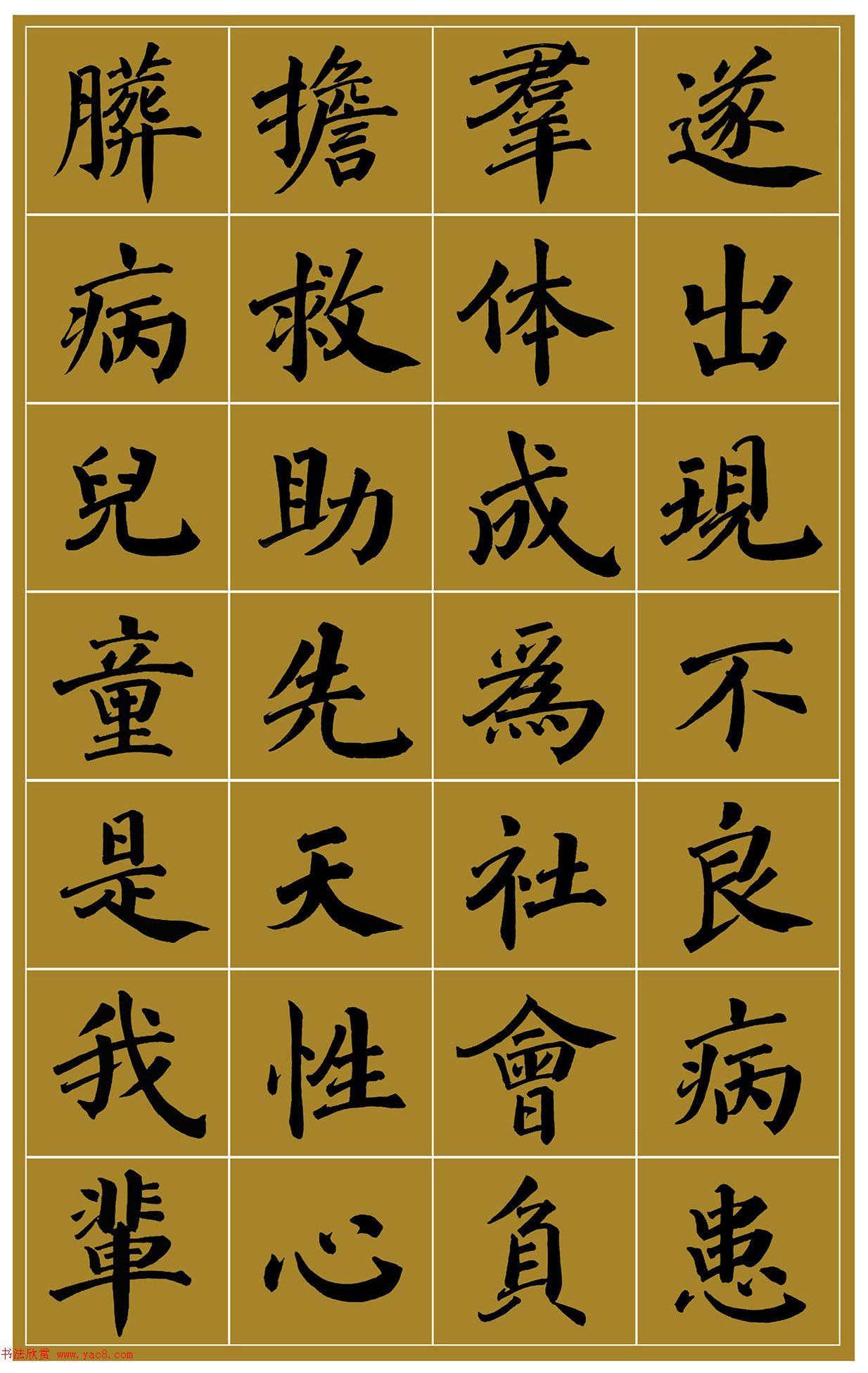 范笑歌楷书《中国少儿先心病基金宣讲辞》