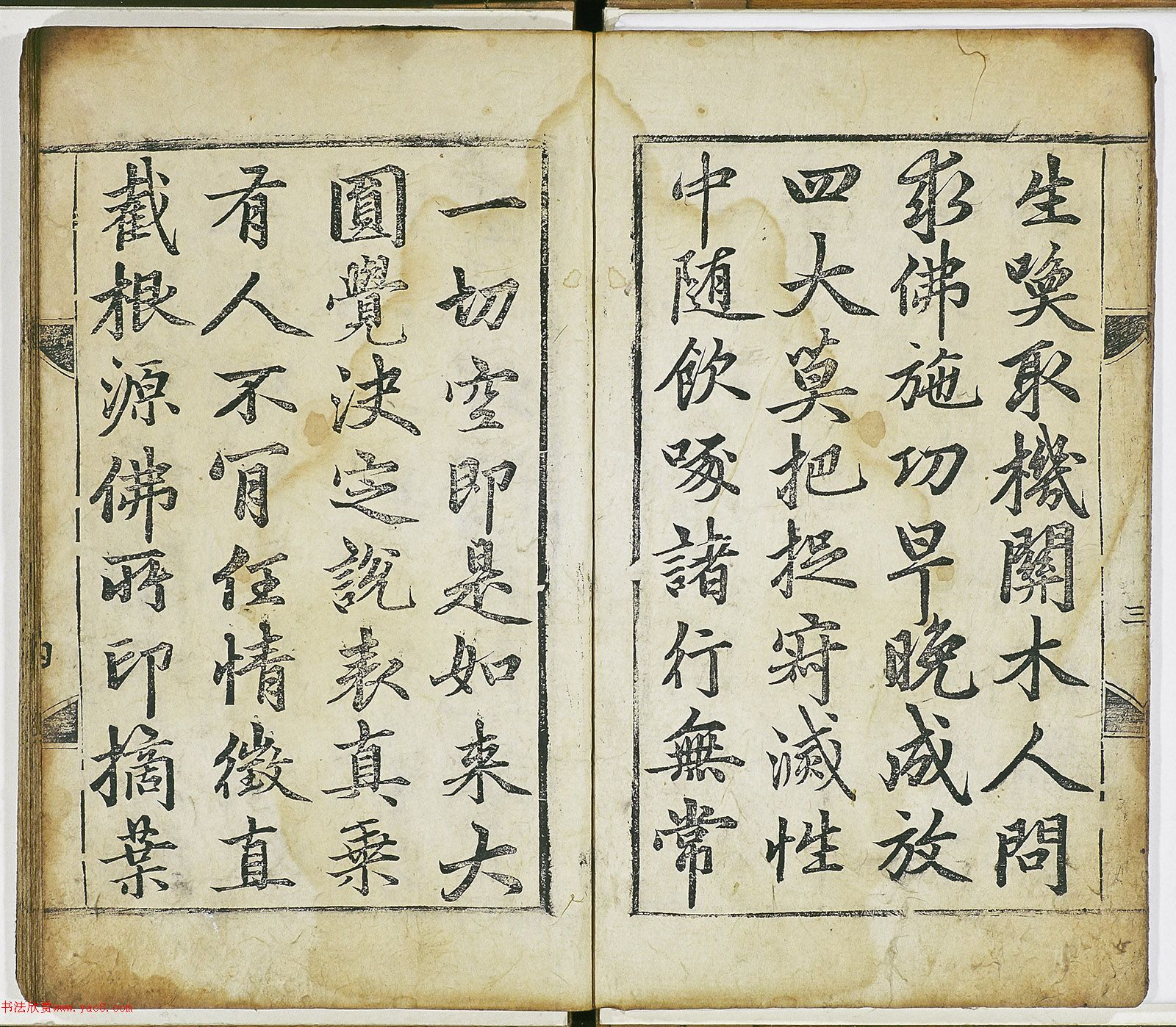 \п顶֤衷ձأ