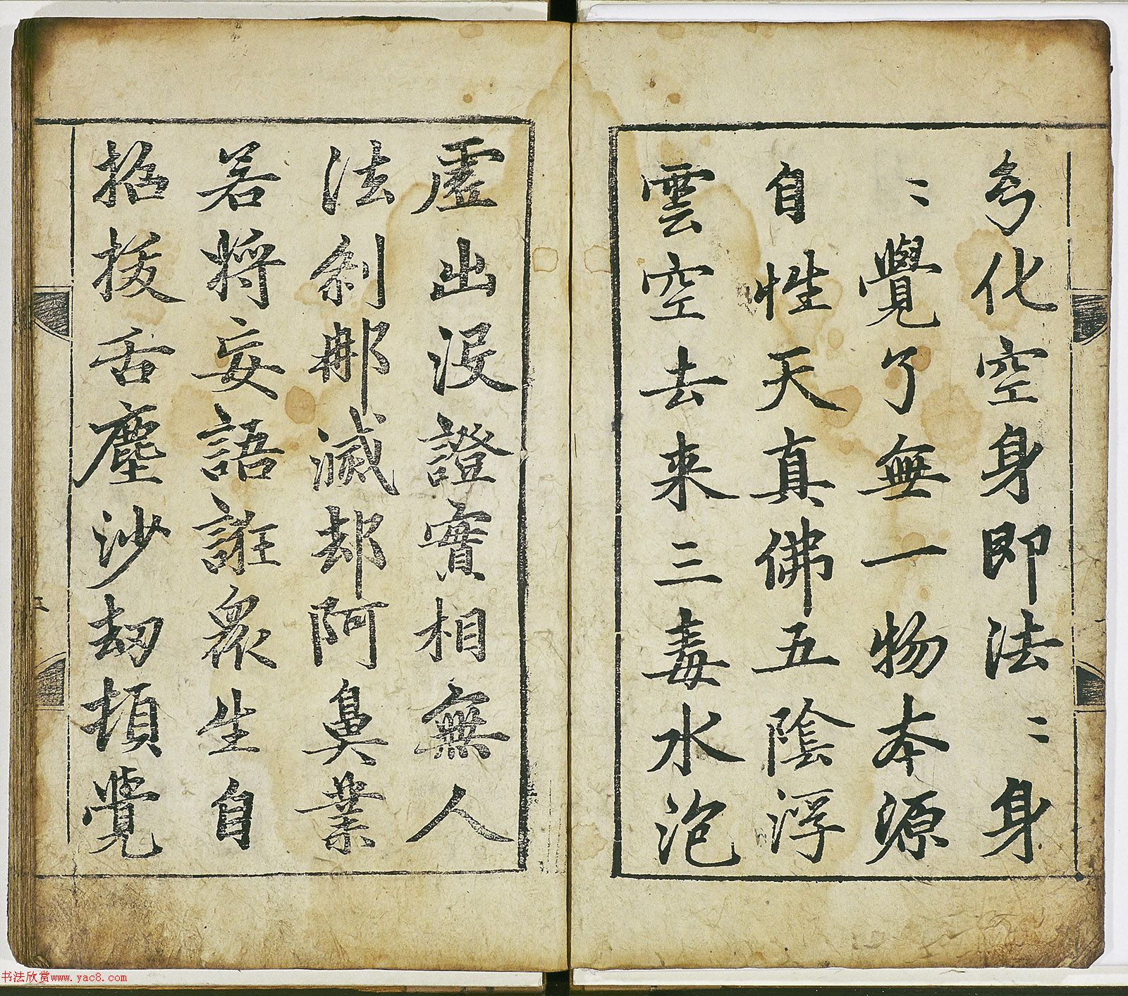 \п顶֤衷ձأ