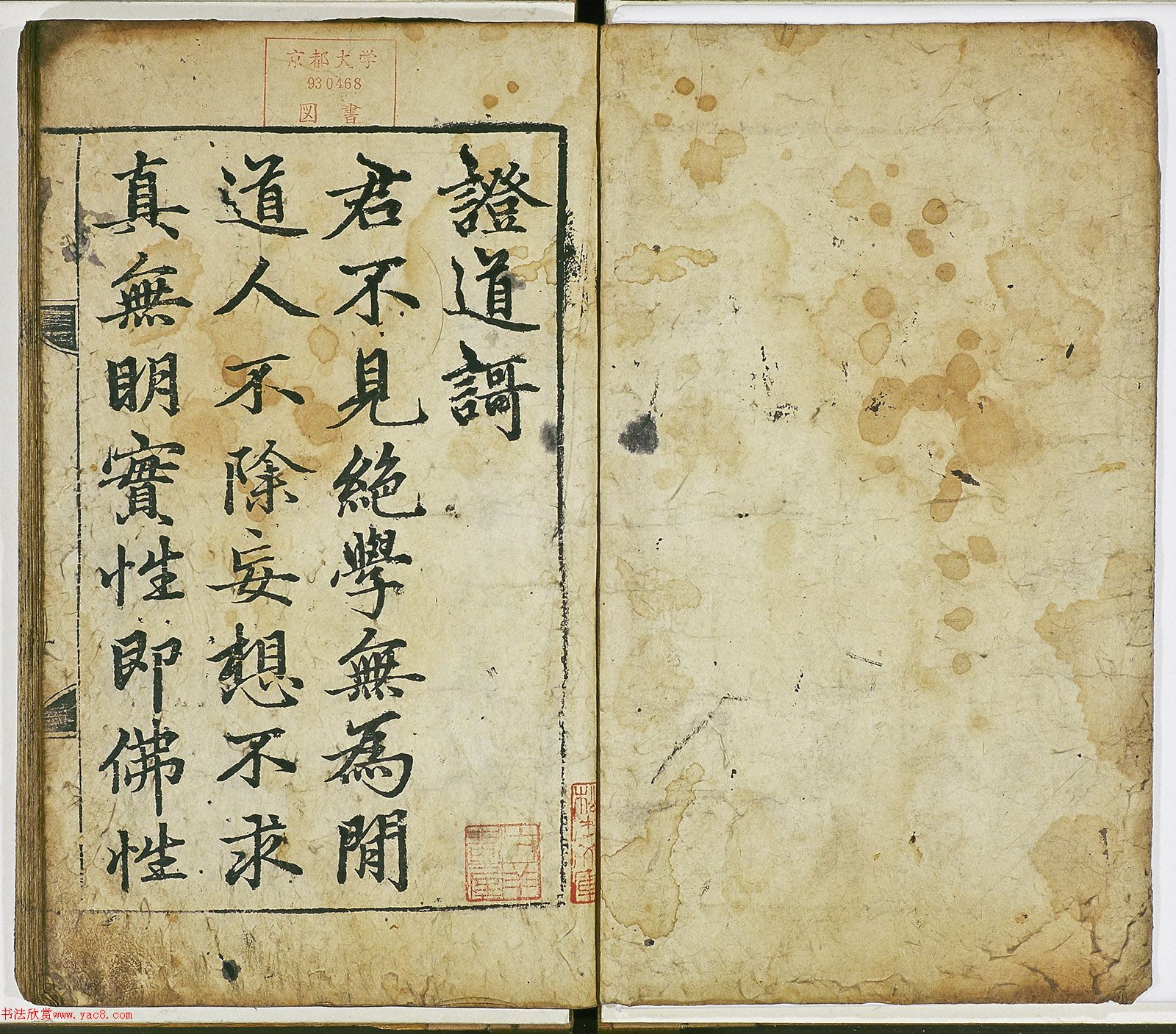 \п顶֤衷ձأ