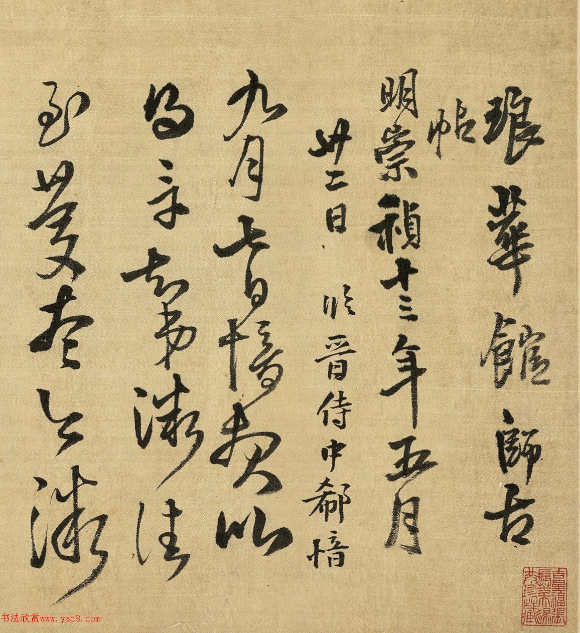 в顶Żʦ