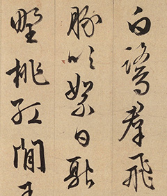 86游ʾ