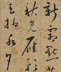 вʫ