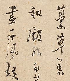 顶