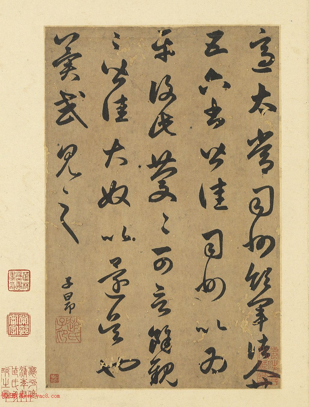 赵孟頫临王羲之2帖：《采菊帖》+《太常帖》