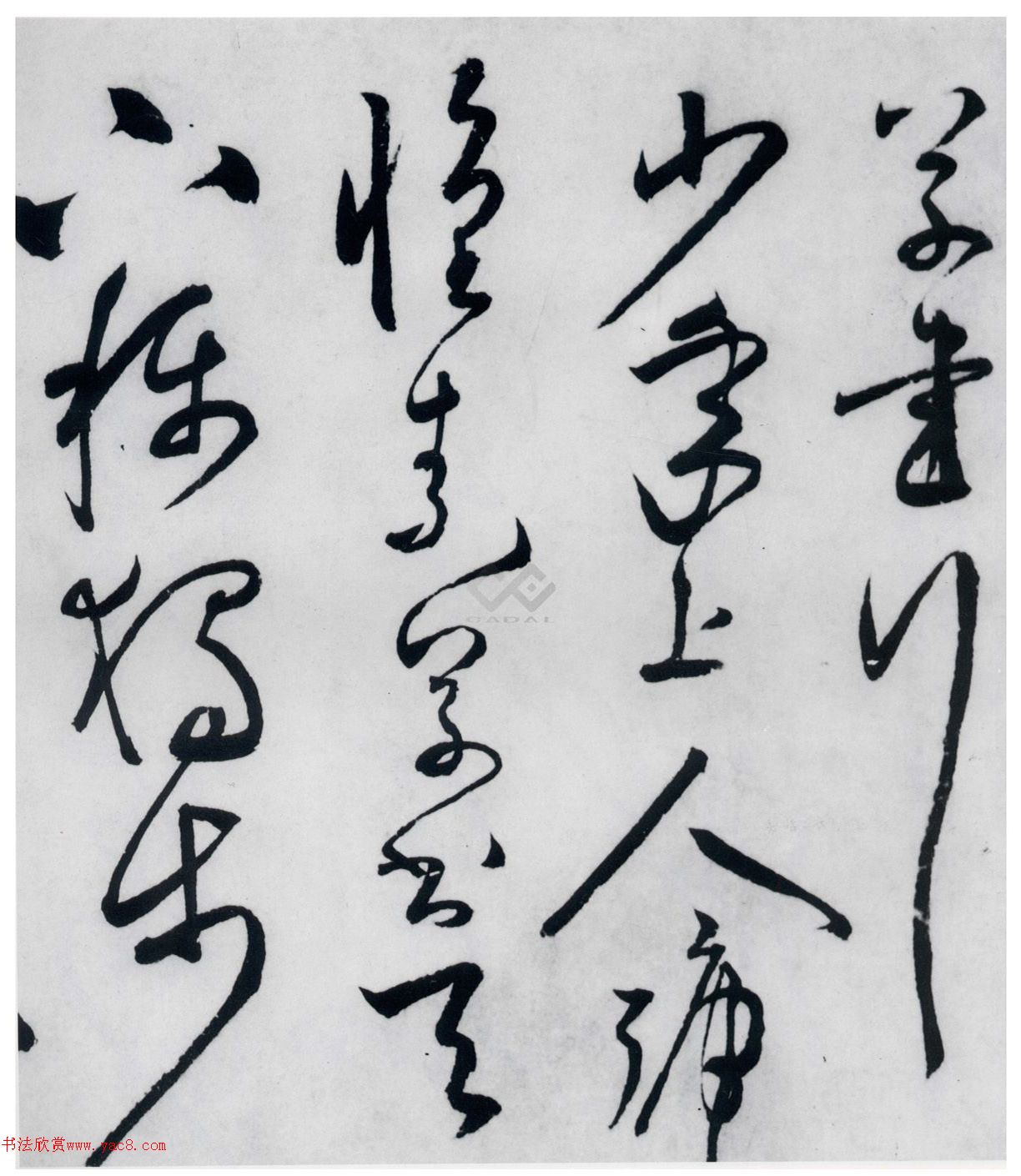 张弼草书《李白草书歌行》