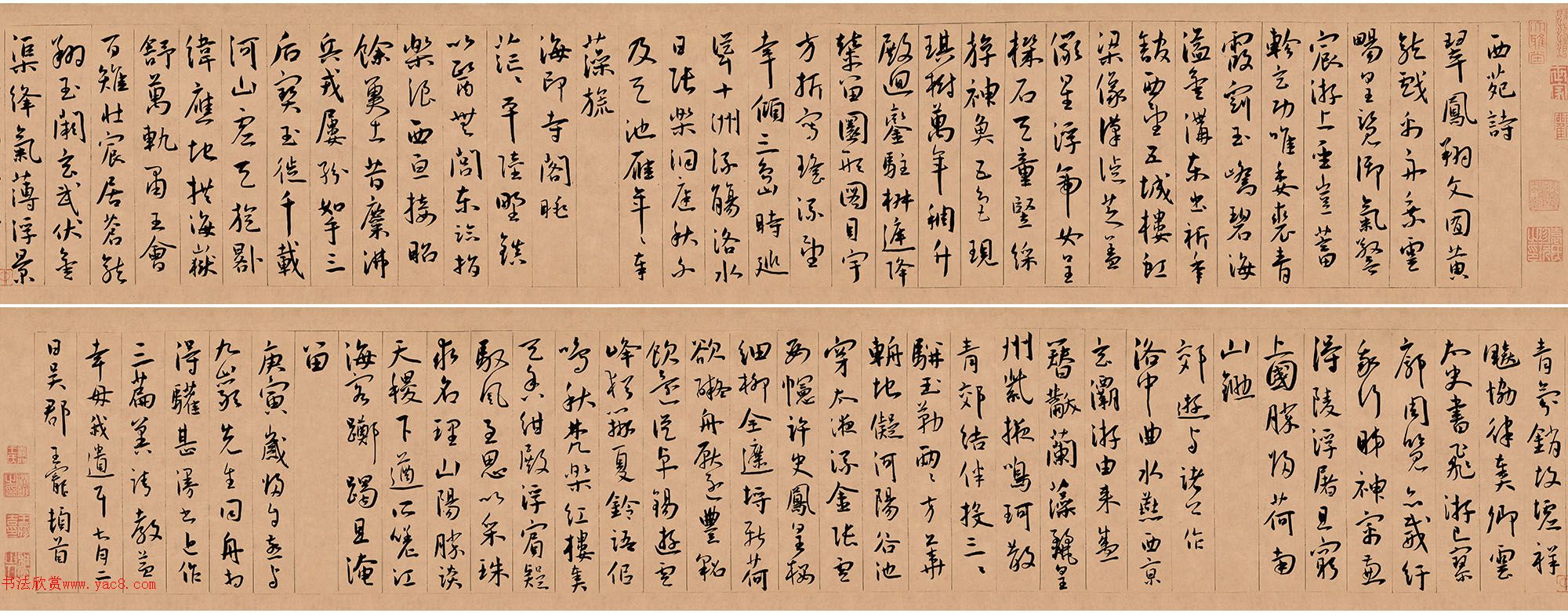 в鷨Էʫ