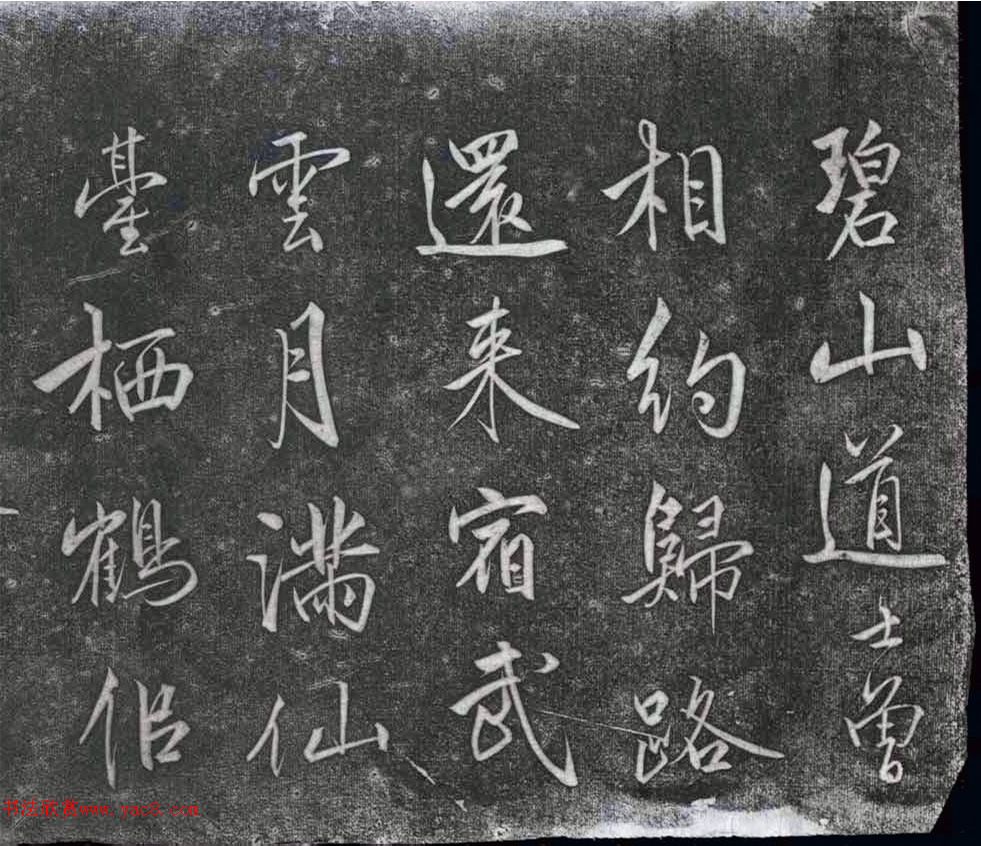 鷨Ƭʫ