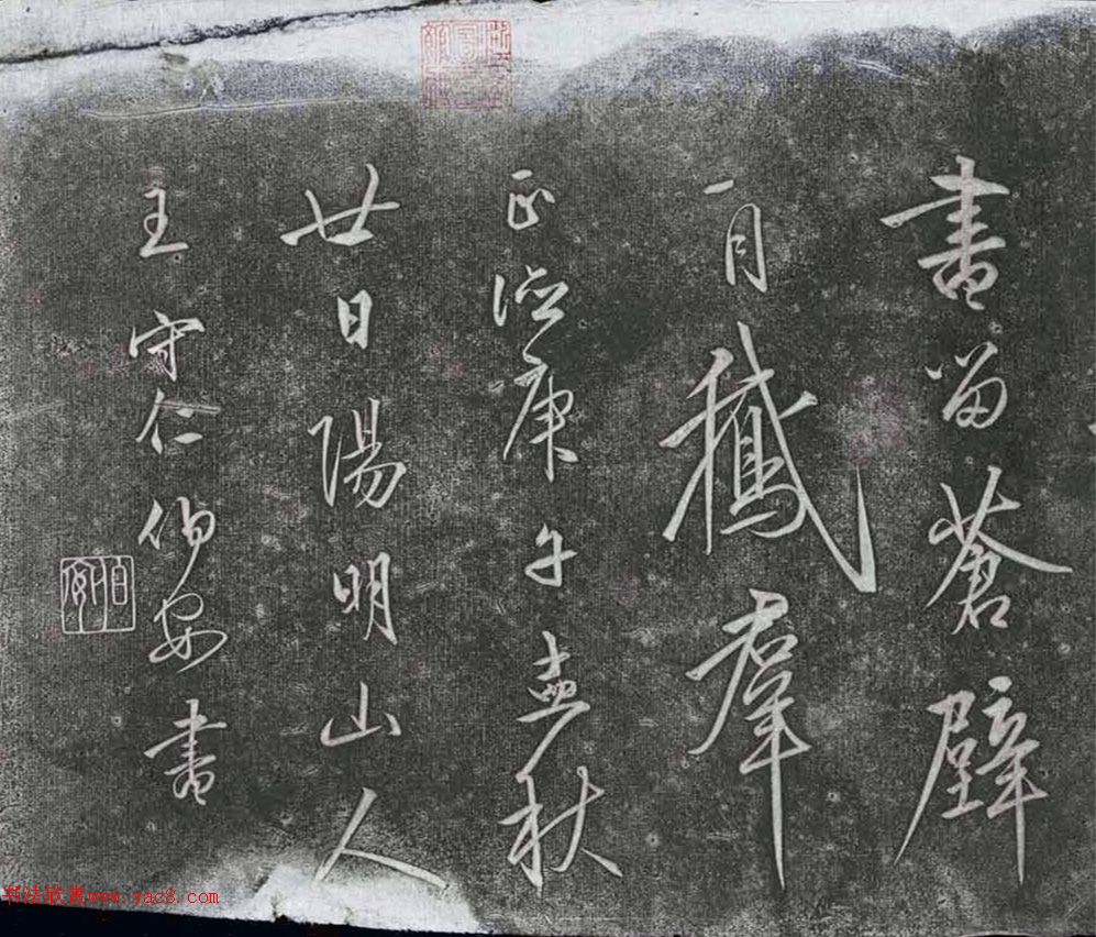 鷨Ƭʫ