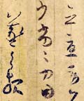 ֮²鷨