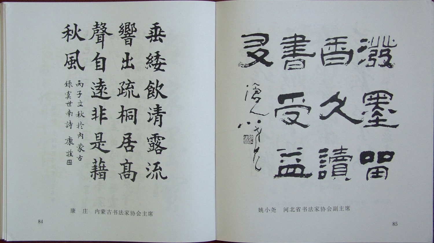 й鷨ǩī