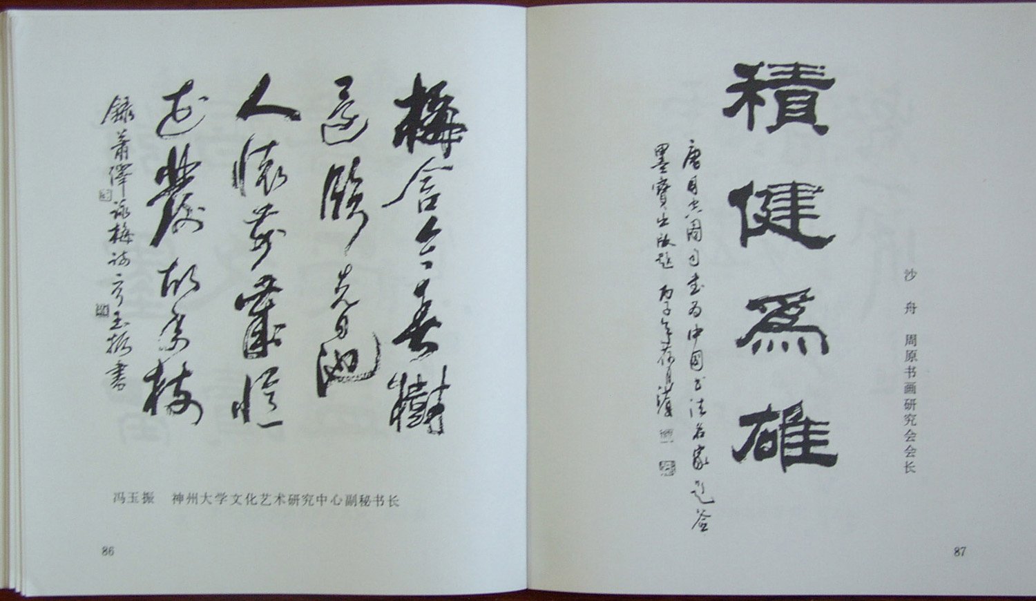 й鷨ǩī